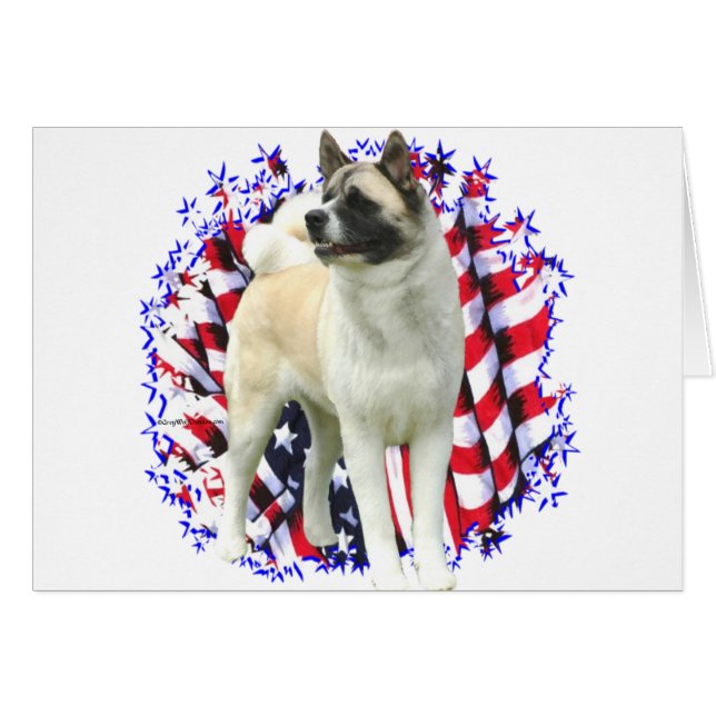 Akita Patriot (Vorderseite (Horizontal))