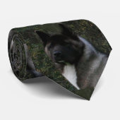Akita-Pin Krawatte (Gerollt)