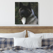 Akita Pin Leinwanddruck (Insitu (Schlafzimmer))