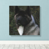 Akita Pin Leinwanddruck (Insitu (Holzboden))