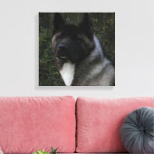 Akita Pin Leinwanddruck (Insitu (Wohnzimmer))