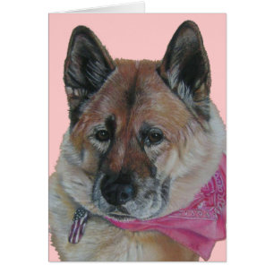 akita pink scarf usa Fahnenmarkenschild