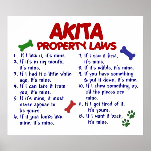 AKITA PL2 POSTER (Vorne)