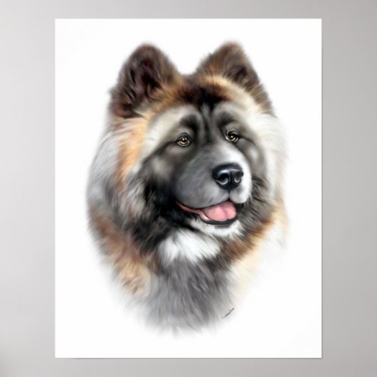 Akita Poster (Vorne)