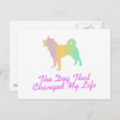 Akita Postkarte (Vorne/Hinten)