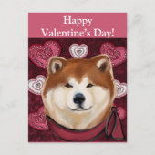 AKITA POSTKARTE (Vorderseite)