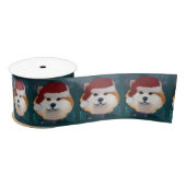 AKITA SATINBAND (Spule)