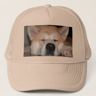 akita sleeping.png truckerkappe