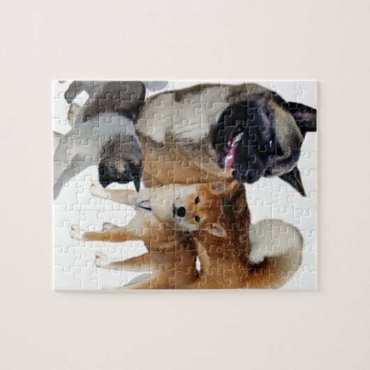Akita-Spiel Puzzle (Horizontal)