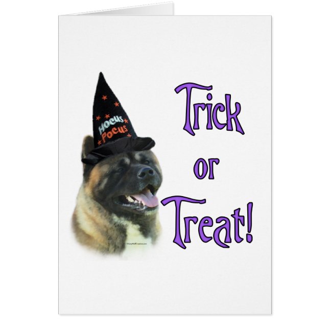 Akita Trick (Vorne)