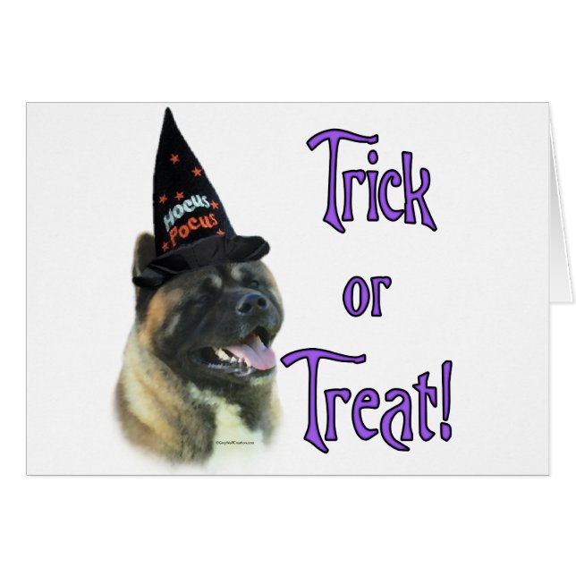 Akita Trick (Vorderseite (Horizontal))