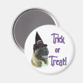 Akita Trick Magnet (Vorderseite/Rückseite)