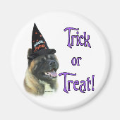 Akita Trick Magnet (Vorne)