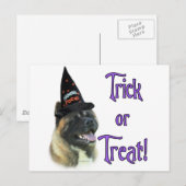 Akita Trick Postkarte (Vorne/Hinten)