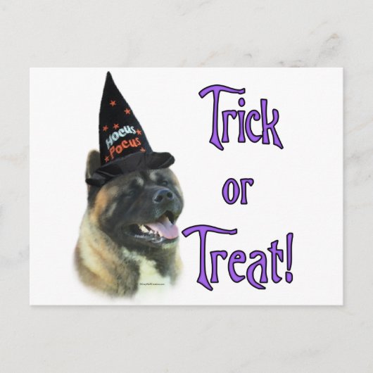 Akita Trick Postkarte (Vorderseite)