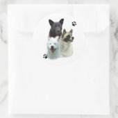 Akita Trio - Aufkleber (Tasche)