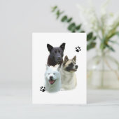 Akita Trio Postkarte (Stehend Vorderseite)