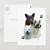 Akita Trio Postkarte (Vorne/Hinten)