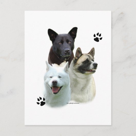 Akita Trio Postkarte (Vorderseite)