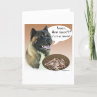 Akita Türkei