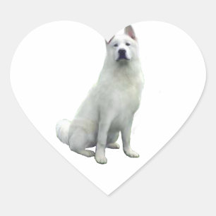Akita - weiß Herz-Aufkleber