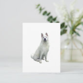 Akita - weiß postkarte (Stehend Vorderseite)
