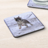 Akita-Welpe Getränkeuntersetzer (Linke Seite)