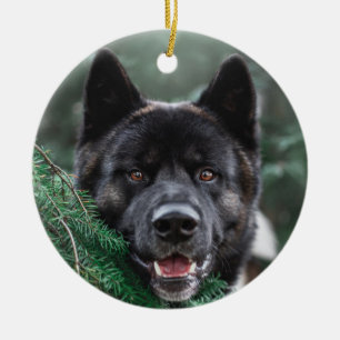 Akita Welpe Hund in einem Kiefernwald Weihnachten Keramik Ornament