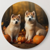 Akita Welppy Autumn Delight Pumpkin Button (Vorderseite)