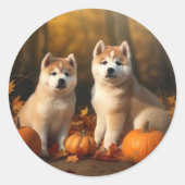 Akita Welppy Autumn Delight Pumpkin Runder Aufkleber (Vorderseite)