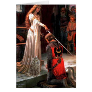 Akkolade — Norwegische Waldkatze