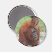 Akmad und Baby Boy Magnet (Vorderseite/Rückseite)