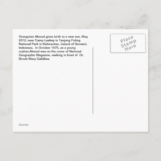 Akmad's neuer Baby-Sohn im Lager Leakey Ankündigungspostkarte (Rückseite)