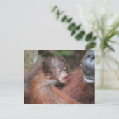 Akmad's neuer Baby-Sohn im Lager Leakey Ankündigungspostkarte (Stehend Vorderseite)