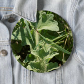 Akrida Button (Beispiel)