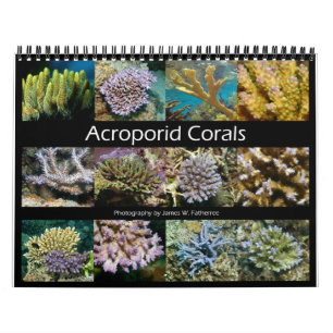Akroporid-Korallen-Wandkalender von J.W. Fatherree Kalender