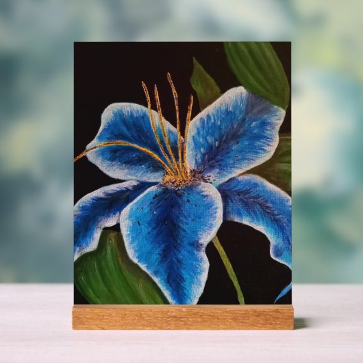 Akryling Acrylschild (Neutral)