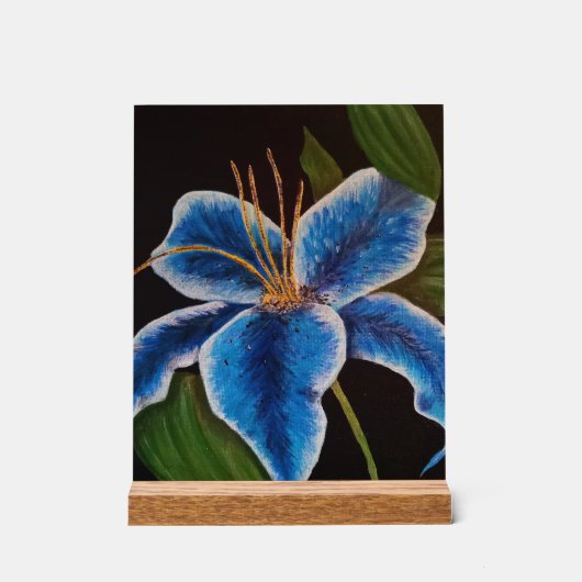 Akryling Acrylschild (Vorderseite)