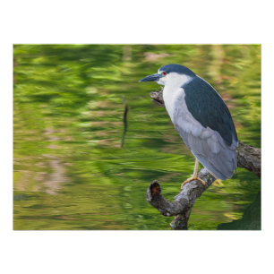 Akryllische Wandkunst Poster