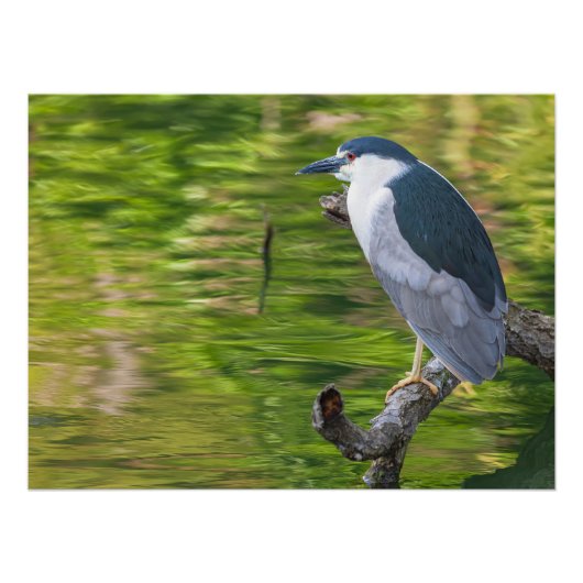 Akryllische Wandkunst Poster (Vorderseite)