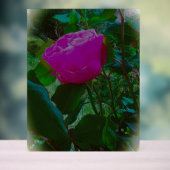 Akryllischer Design Acrylschild (Neutral)