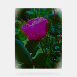 Akryllischer Design Acrylschild