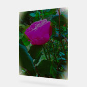 Akryllischer Design Acrylschild (Winkel)