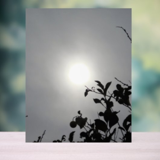 Akryllischer Design Acrylschild (Neutral)