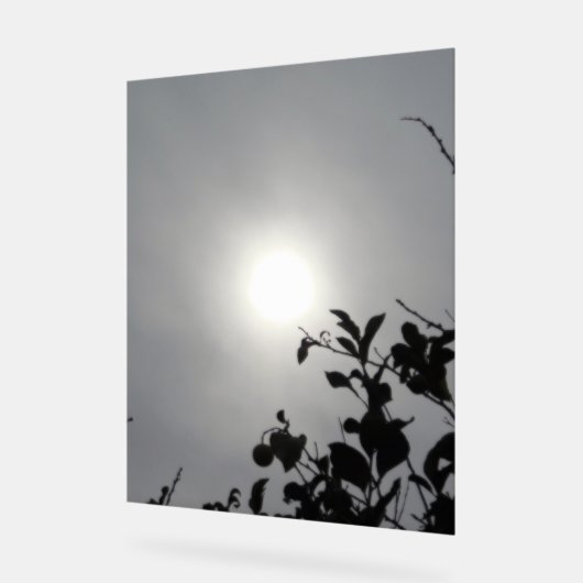 Akryllischer Design Acrylschild (Winkel)