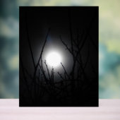 Akryllischer Design Acrylschild (Neutral)