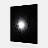 Akryllischer Design Acrylschild (Winkel)