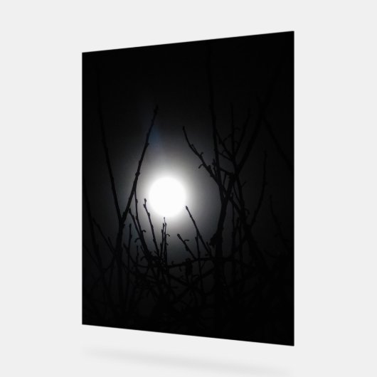 Akryllischer Design Acrylschild (Winkel)