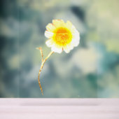 Akryllischer Signature ART DESIGN STIL Acrylschild (Neutral)