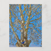 Akseli Gallen-Kallela - Crack Willow und Blue Bird Postkarte (Vorderseite)